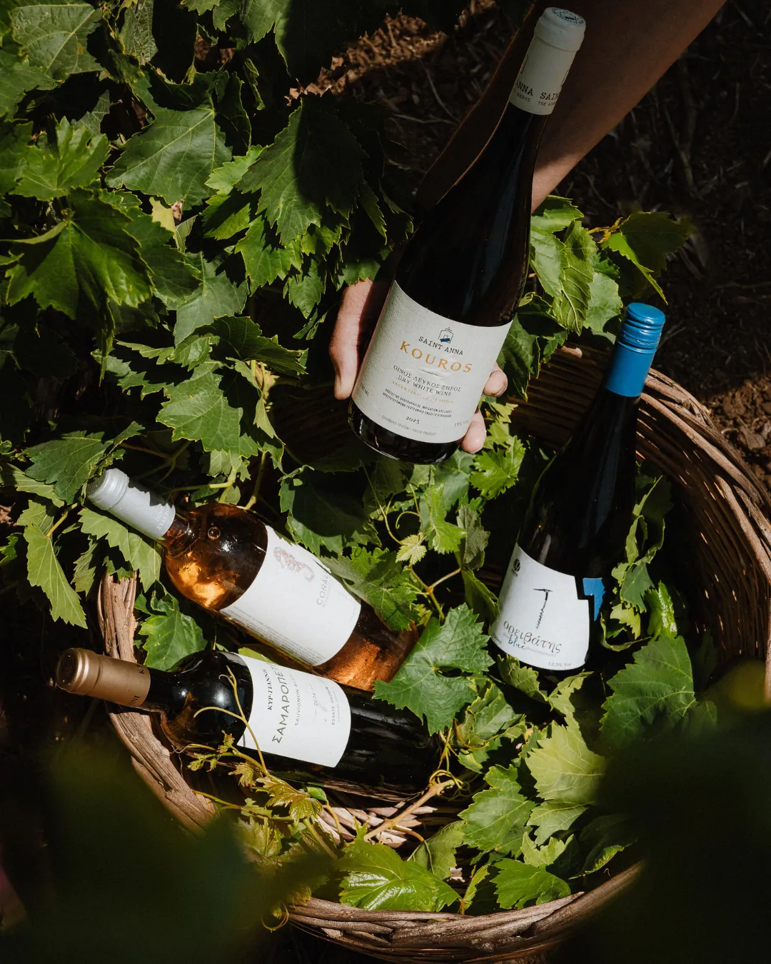 Wine_6.1_1080x1350