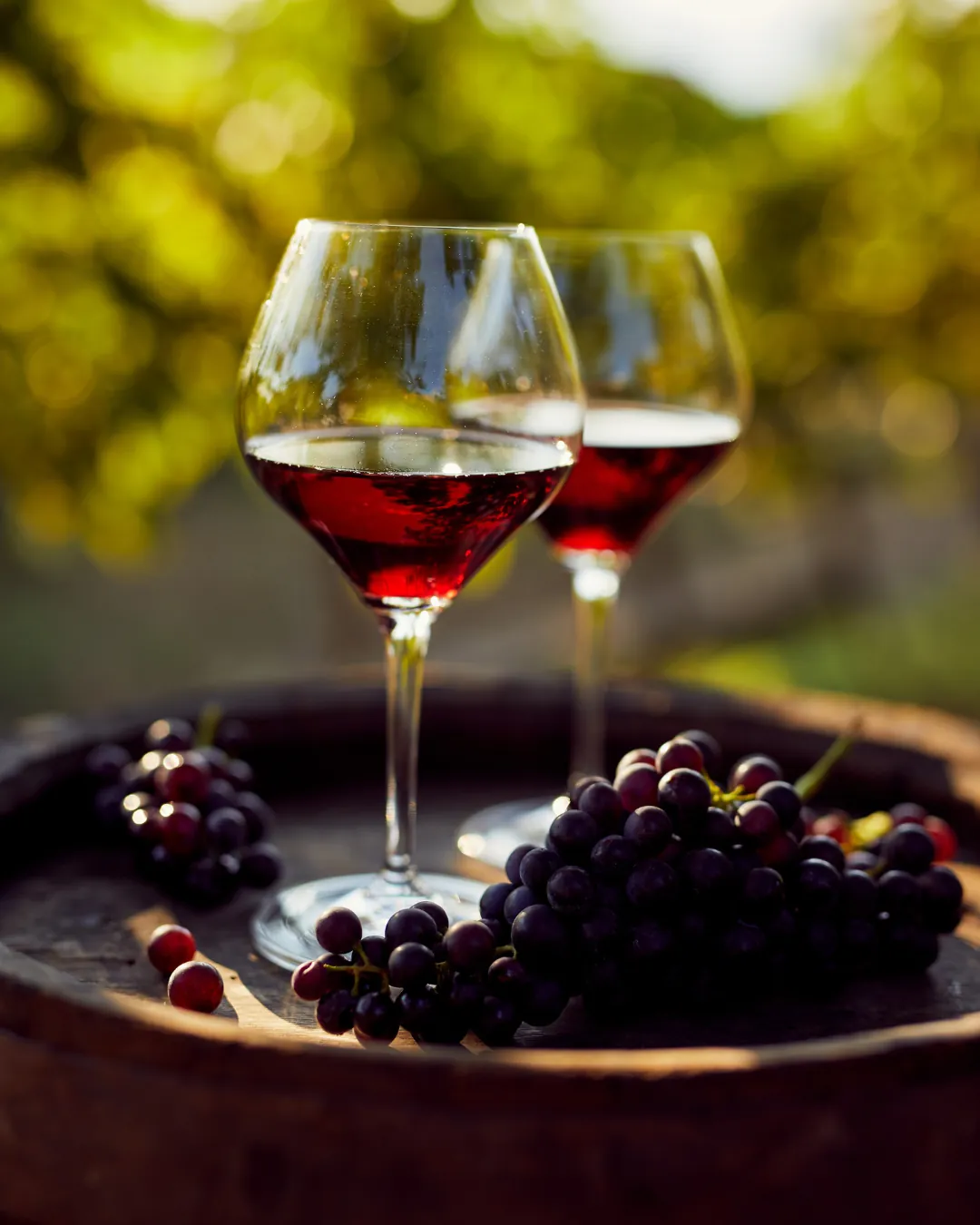 Wine_6.2_1080x1350